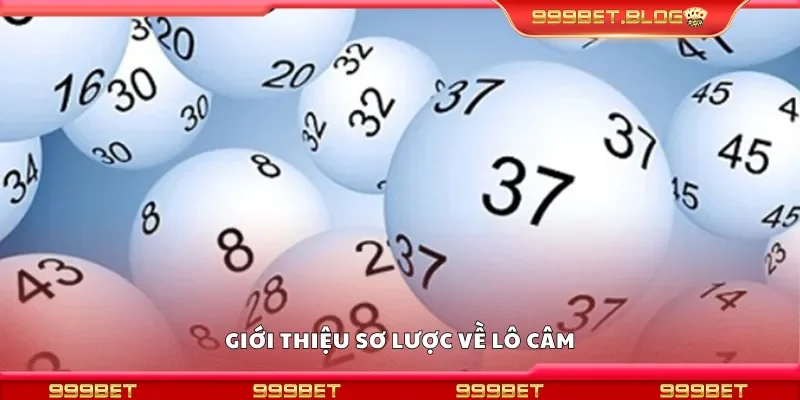 Giới thiệu sơ lược về lô câm