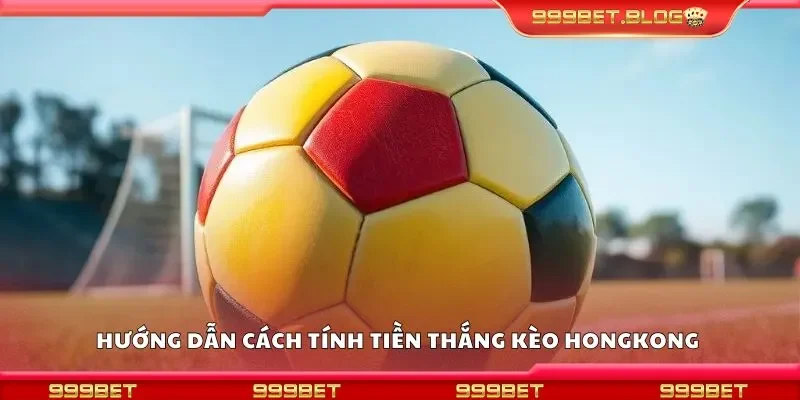 Hướng dẫn cách tính tiền thắng kèo hongkong 