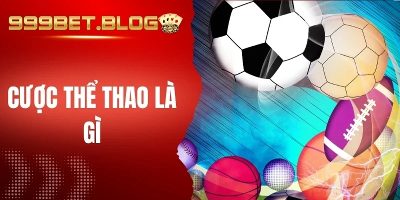 Quy tụ nhiều bộ môn thể thao đình đám