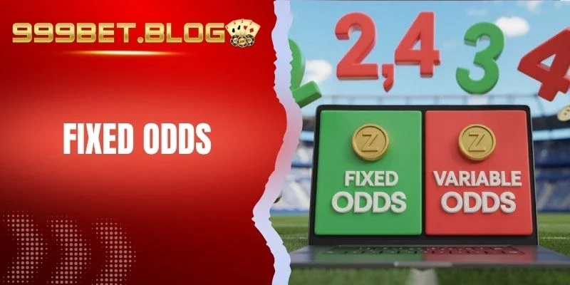Cơ chế hoạt động của Fixed Odds